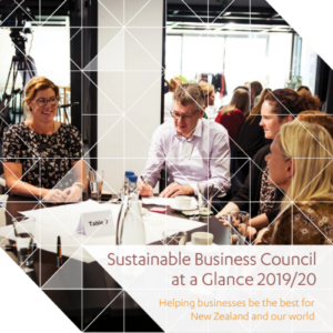 Annual Snapshot 2020