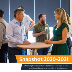 Annual Snapshot 2021