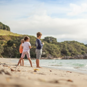 Emissions Reduction Plan discussion document response