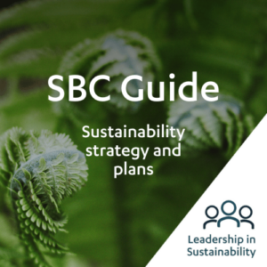SBC Guide: Sustainability strategy and plans