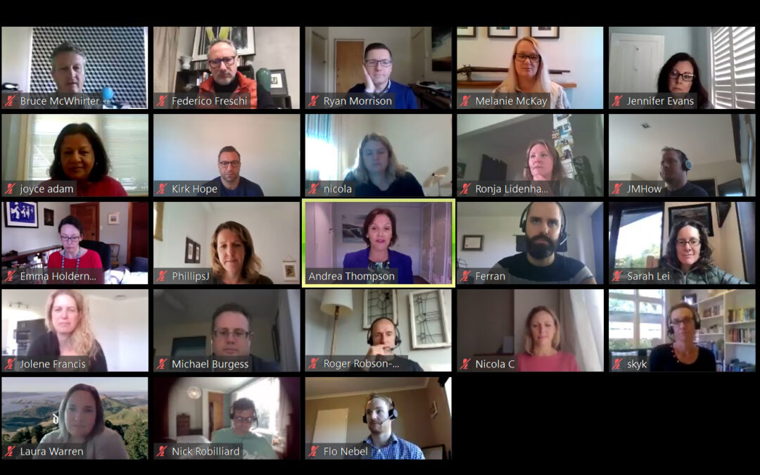 Guest Blog: Sustainability Leadership Programme 2020 – adapting to virtual