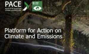 Businesses take action on climate change: the time for economic opportunity is now!