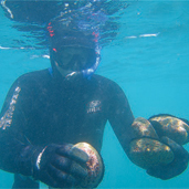 New Zealand Pilot of the Ecosystems Services Review: Case studies & insights