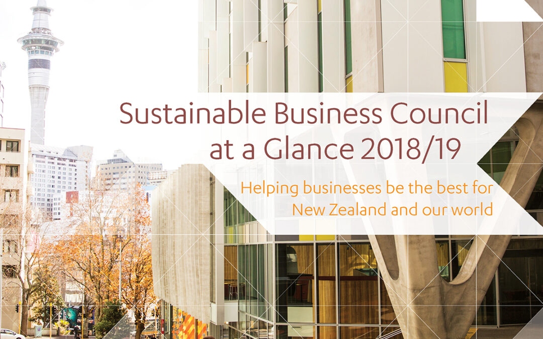 2019 Annual Snapshot