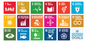 Taking NZ business achievements to a global stage