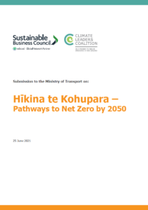 Submission – Pathways to Net Zero by 2050