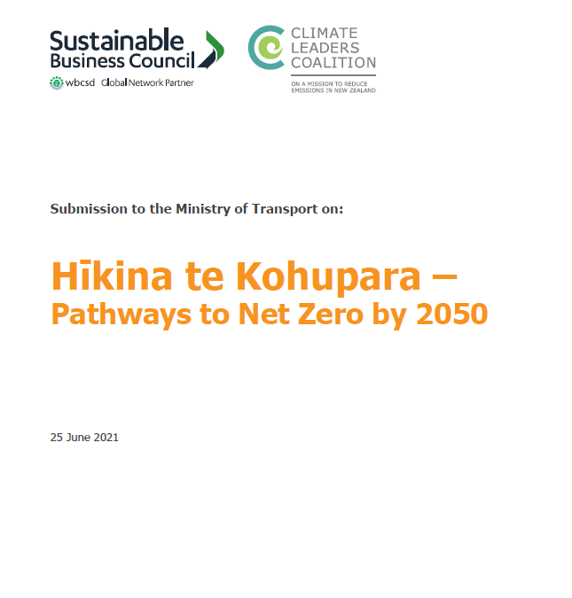 Submission – Pathways to Net Zero by 2050