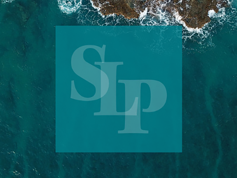 Sustainability Leadership Programme