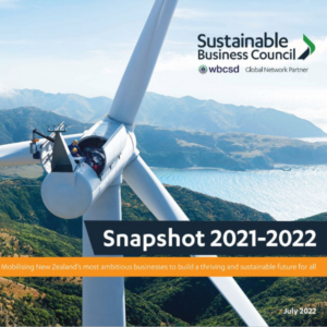 Annual Snapshot 2022