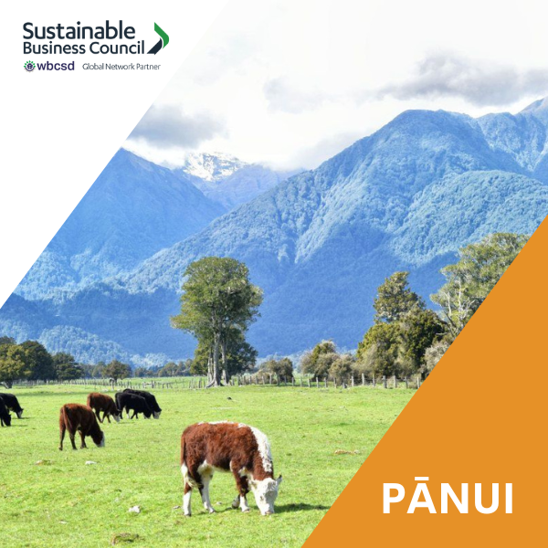 Pānui News – 11 August