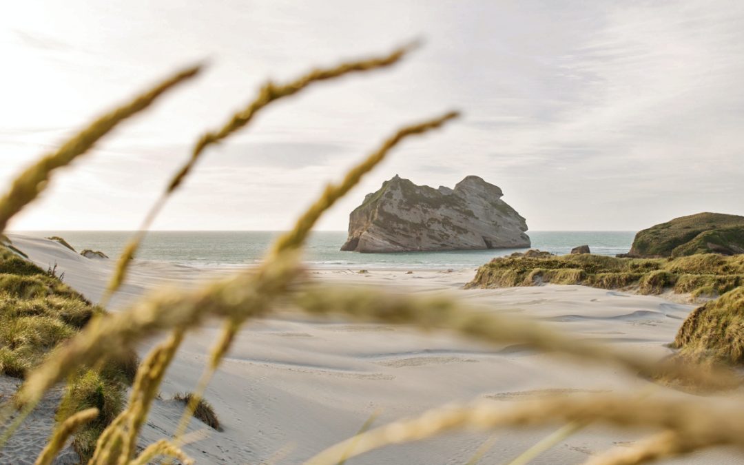 The Business of Nature: Why Papatūānuku needs to be our CEO