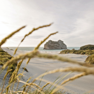 The Business of Nature: Why Papatūānuku needs to be our CEO