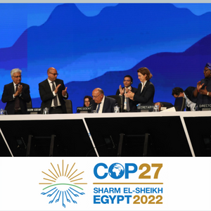 COP27: On the ground in Sharm El Sheik, Egypt