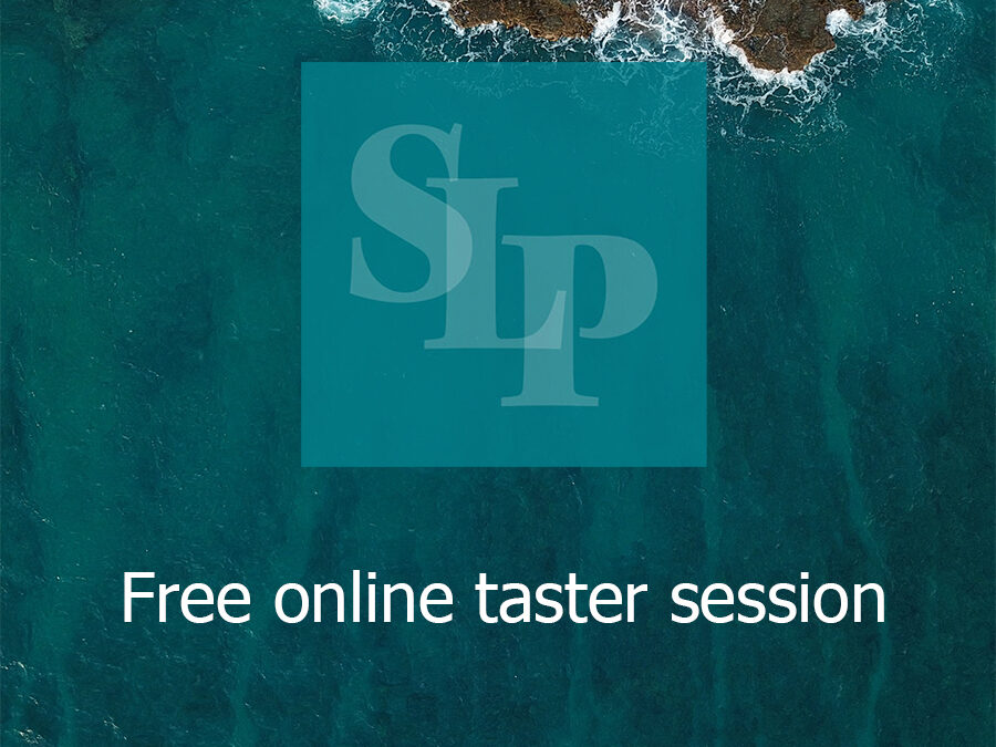 Sustainability Leadership Programme Taster