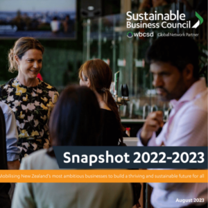 Annual Snapshot 2023