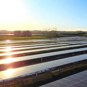 Q&A with The Warehouse Group on historic solar milestone