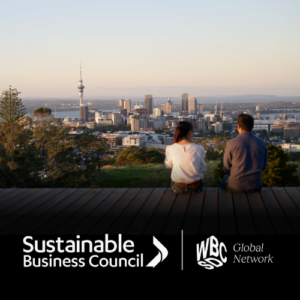 Spotlight on: Sustainability Superstars