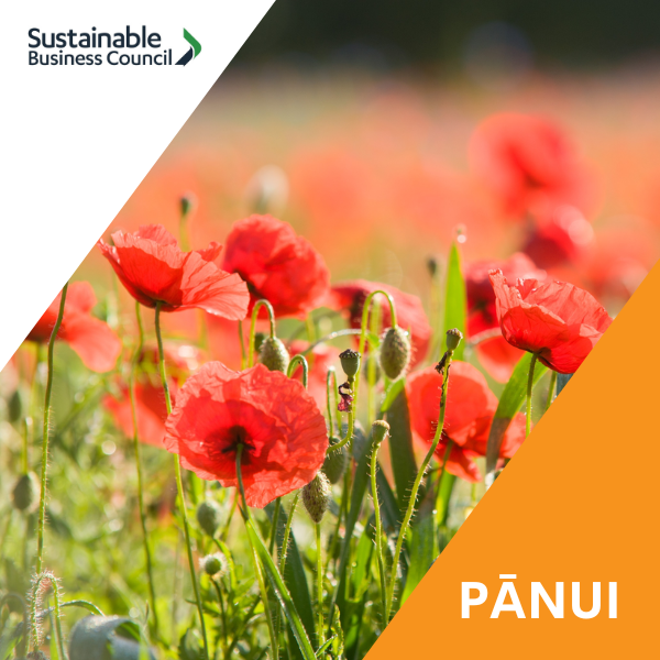 Pānui news – 24 April