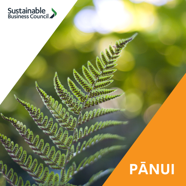 Pānui news – 30 May