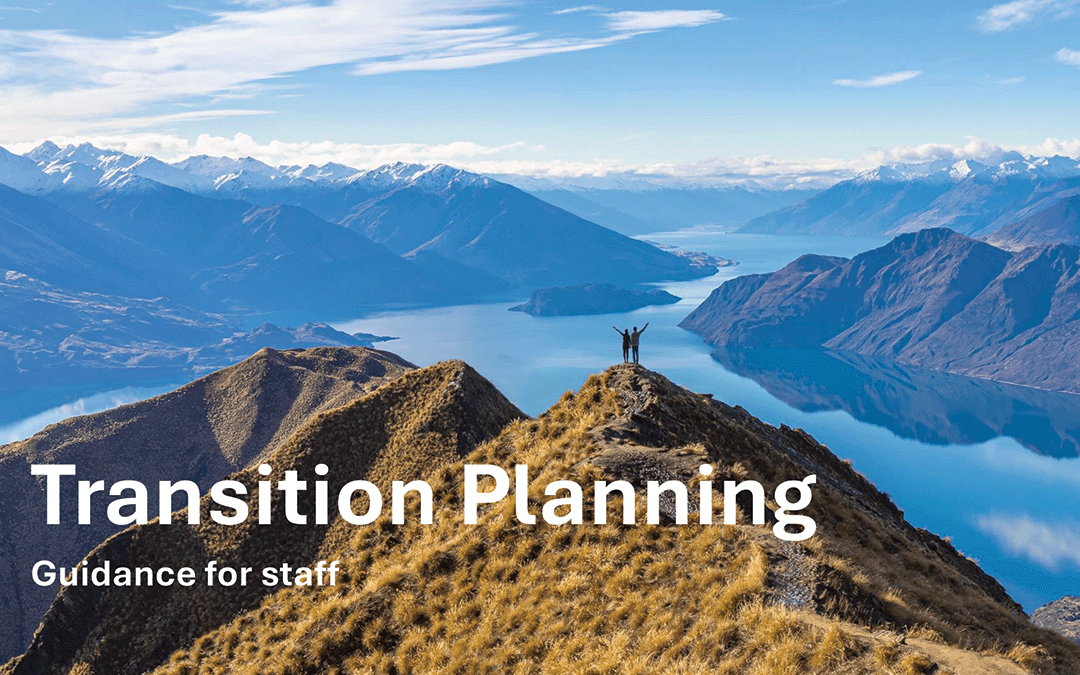 Transition Planning Guidance for Staff