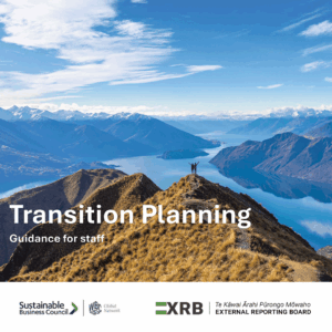 Transition Planning Guidance for Staff