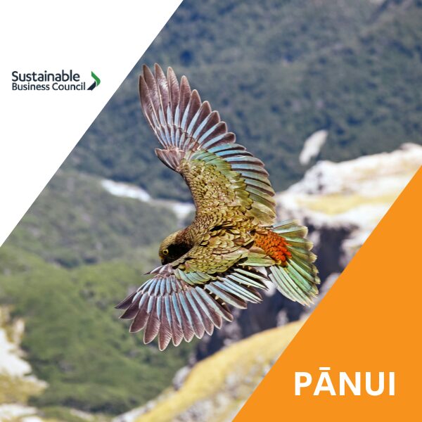 Pānui news – 22 May