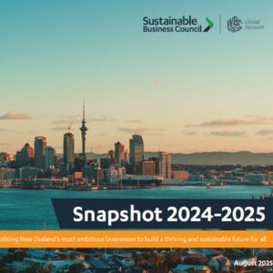 Annual Snapshot 2024-25