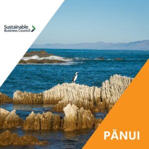 Pānui news – 18 September