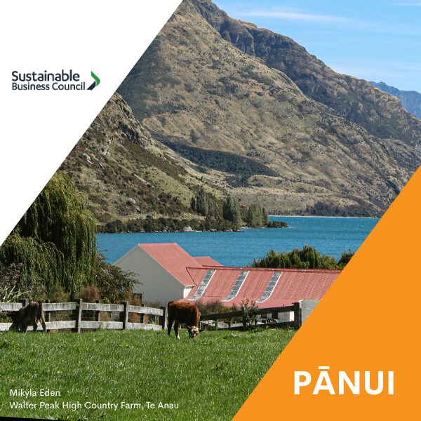 Pānui news – 12 February