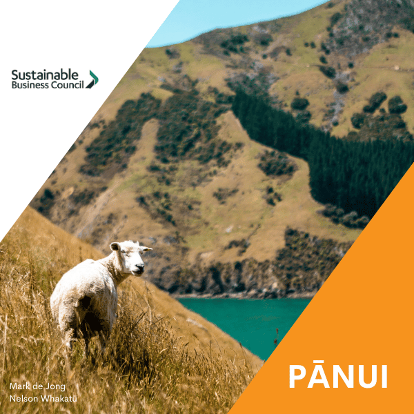 Pānui news – 26 February