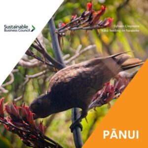 Pānui news – 26 March
